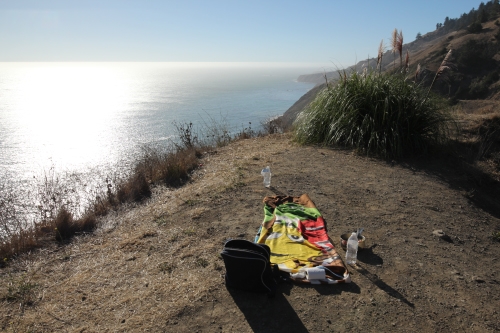Coast Pic Nic