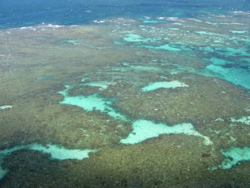 Great Barrier Reef I