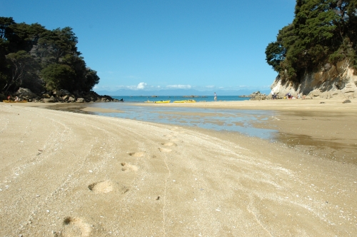 F&uuml;&szlig;e im Auslauf