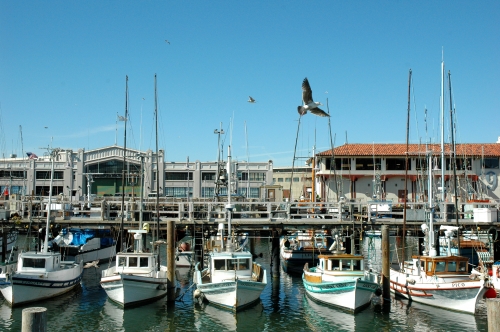 Fischerhafen II