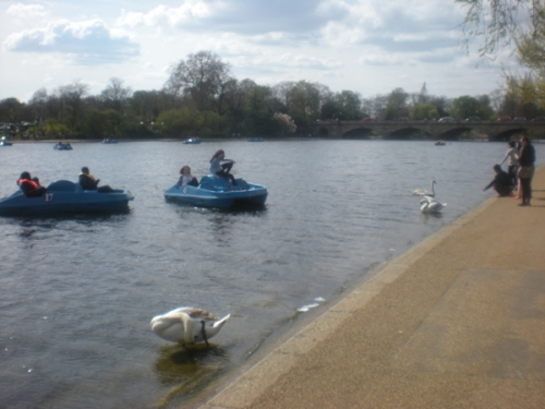 Hyde Park - Alte Donau ?