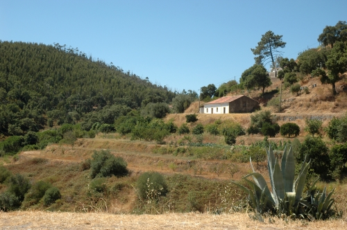 Serra de Monchique II