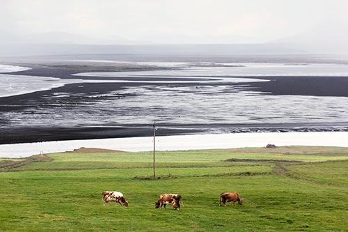 Weg nach Husavik